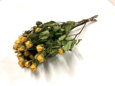 <h4>DROOG ROSES SPRAY GEEL RUSTIGOLD</h4>