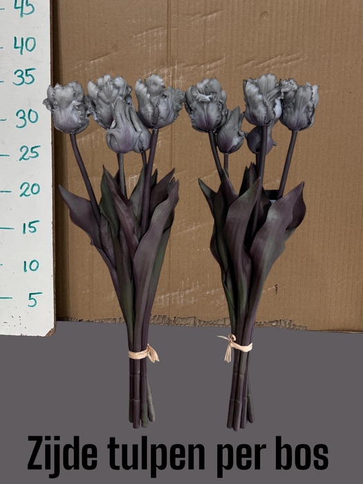 <h4>HUIS EN TUINDECO H%</h4>