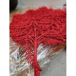 GESTABILISEERD VAREN ROOD