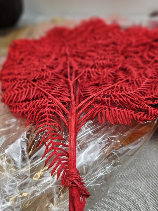 <h4>GESTABILISEERD VAREN ROOD</h4>