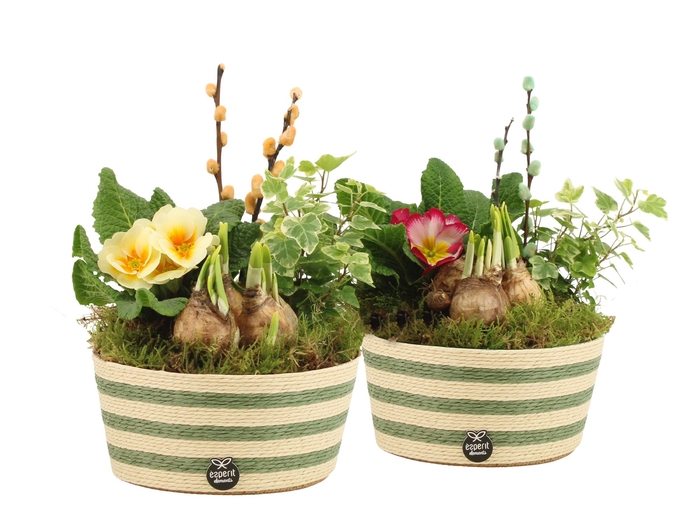 <h4>11699: Outdoor spring arrangement</h4>