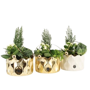 61627: X-mas arrangement