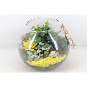 arr2 MB - Glas bol XL - geel