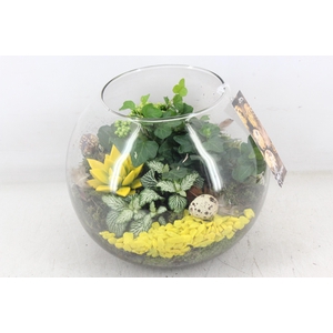 arr2 MB - Glas bol XL - geel