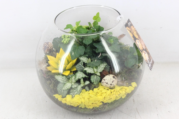 <h4>arr2 MB - Glas bol XL - geel</h4>