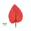 Dried Bleached Palmetto Red