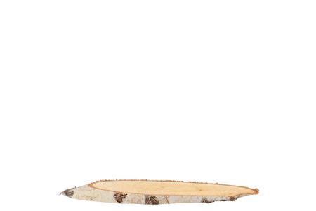 <h4>NATURE BIRCH SLICE OVAL D9-11CM / L</h4>