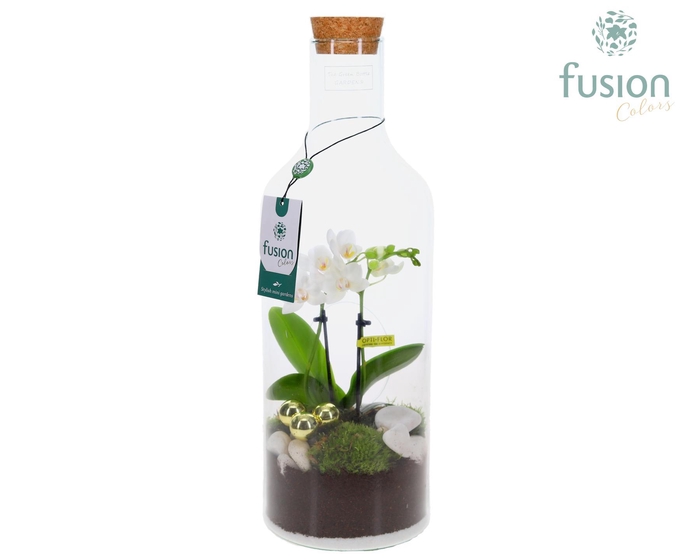<h4>Green Bottle Fles Medium met Kerst arrangement</h4>