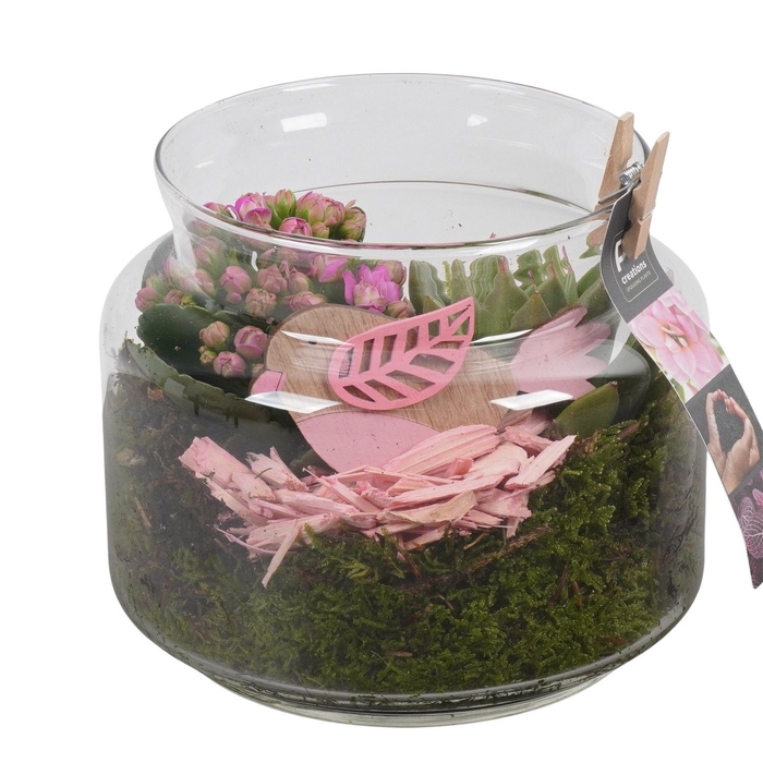 <h4>Arr.   Planten L%</h4>