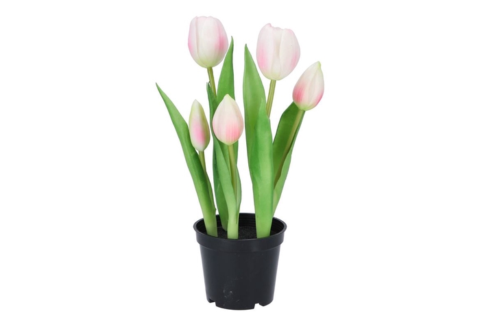 <h4>Silk Tulip In Pot 5x Pink 26cm Nm</h4>