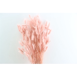 Dried Lagurus Salmon Bunch