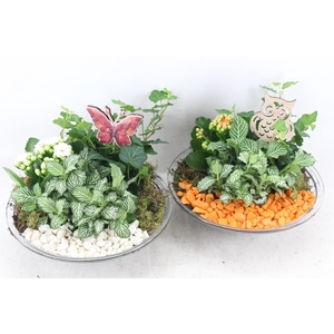 arr2 PL - Glas schaal 23cm - oranje/wit