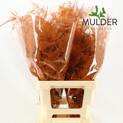 <h4>Asp Klb H% Extra Veren Orange</h4>