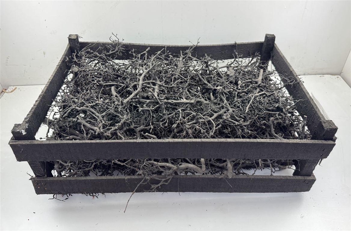 <h4>Bonsai Wood Black P Crate</h4>