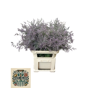 LIM MISTY BLUE