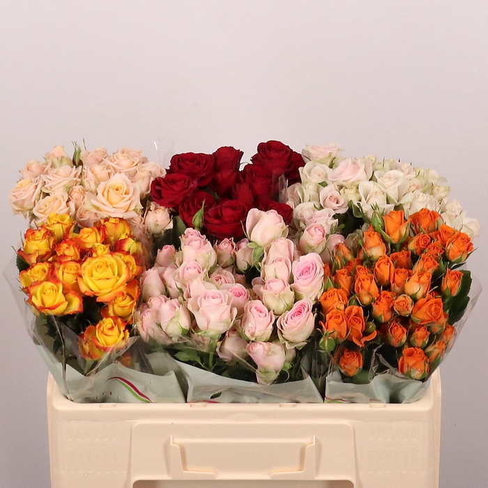 <h4>R TR GEMENGD IN FUST</h4>