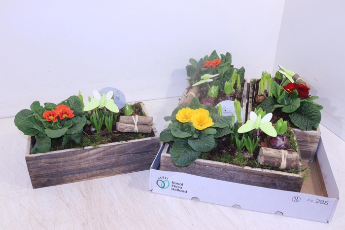 <h4>ARR TUINPLANTEN</h4>