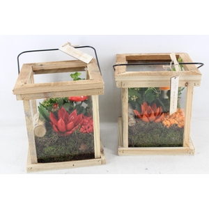 Arr2 Mb - Hout Lantaarn - Oranje/rood