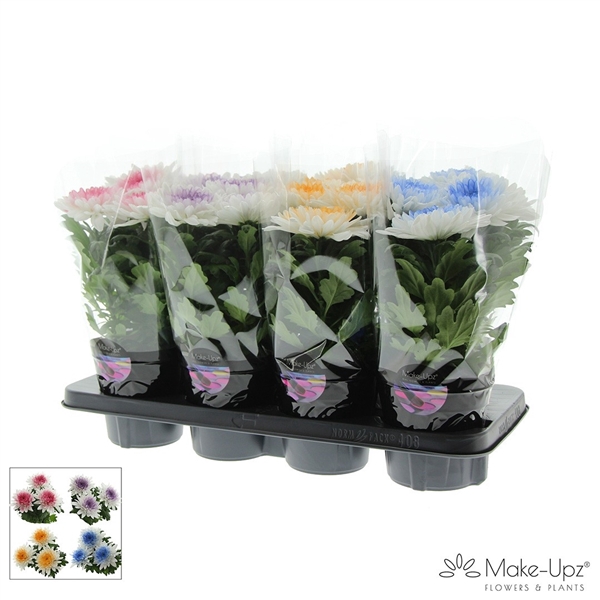 <h4>M-Upz Chrysanne® Zembla Next White Make-Upz® Heart Mix</h4>