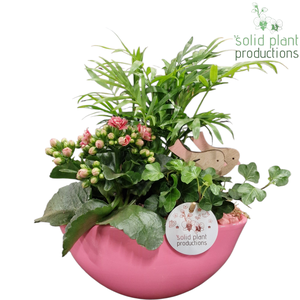 CH005 Evelyn Pink
