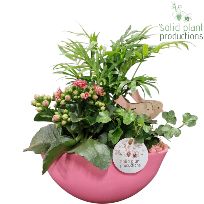 <h4>CH005 Evelyn Pink</h4>