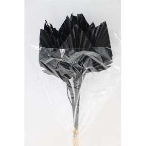 Dried Palm Spear 10pc Black Bunch