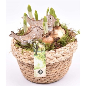 Touw schaal met rand 18cm