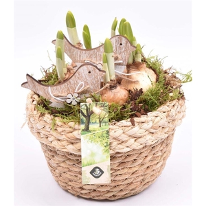 Touw schaal met rand 18cm