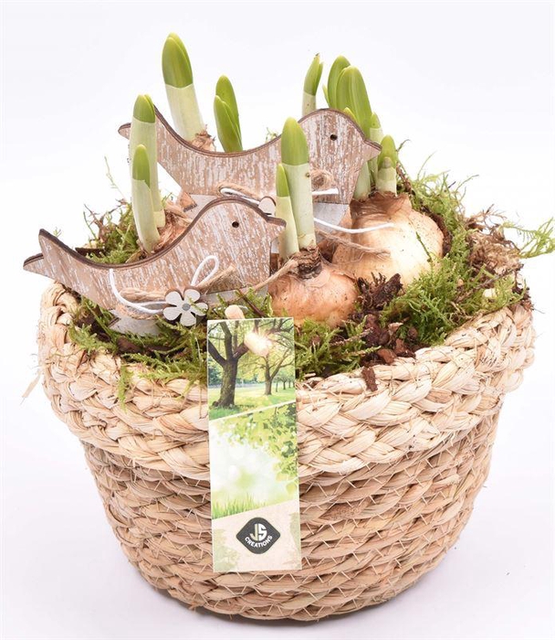 <h4>Touw schaal met rand 18cm</h4>