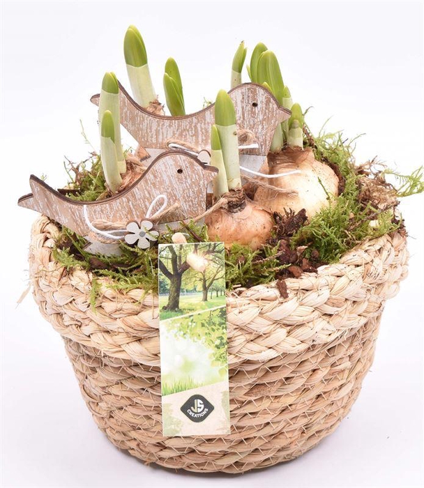 <h4>Touw schaal met rand 18cm</h4>