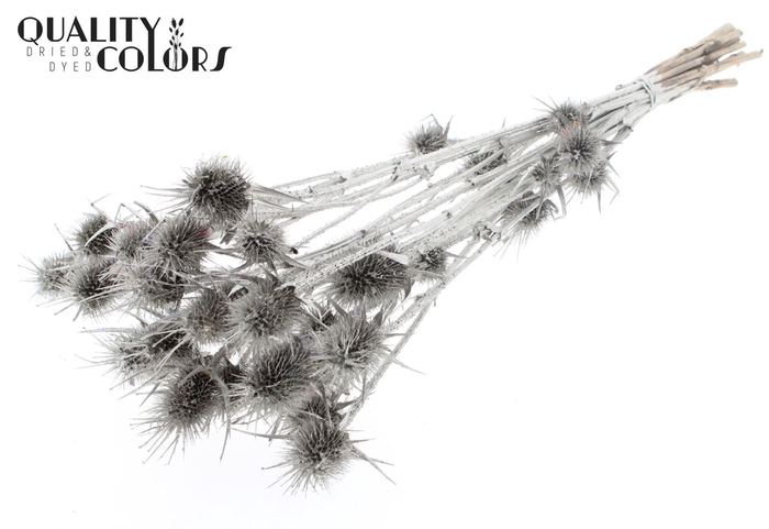 <h4>Droogbloemen   ...bewerkt H%</h4>