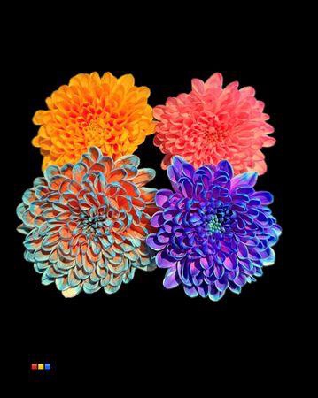 <h4>Chr T Altaj Mix</h4>