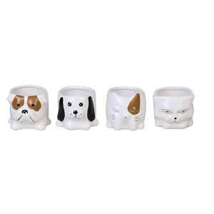 DIVERSE P6 L 862 HOND EN KAT