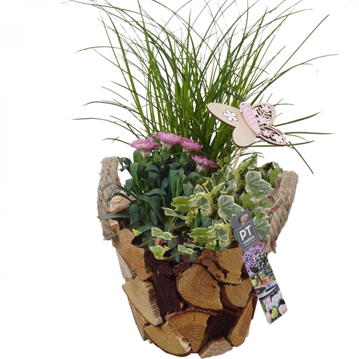 <h4>PTPP6987 Arrangement Patio in houten bak</h4>