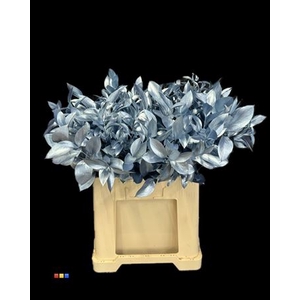 Ruscus Metallic Light Blue