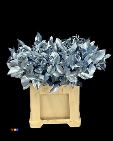 <h4>Ruscus Metallic Light Blue</h4>