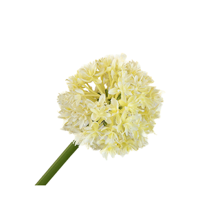 Allium White FL440002WHI