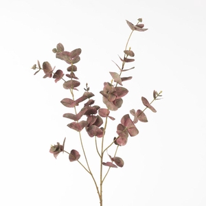 AF Eucalyptus L99cm Red