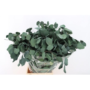 Pres Euca Populus Green 150gr P Bunch