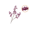 Silk Berry Spice Purple 108cm