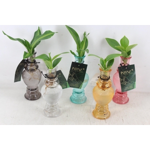 arr3 VDE - Glas vaas Venice mix