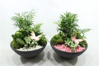 <h4>4573 EBBI INDOOR</h4>