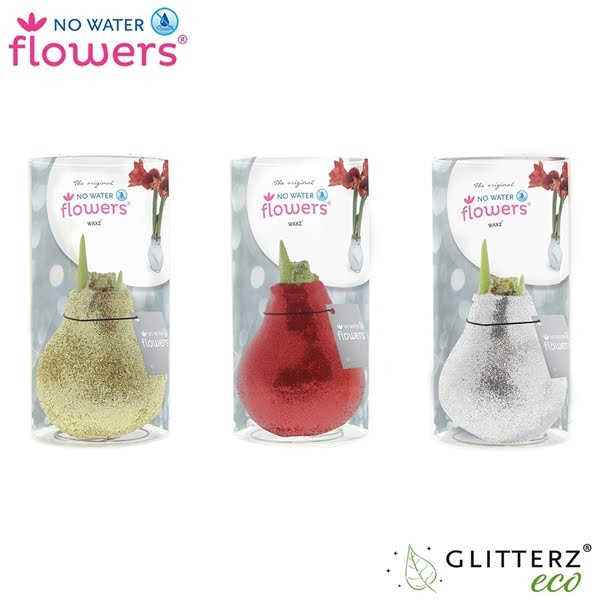 <h4>No Water Flowers Glitterz® Goud / Rood / Zilver in koker</h4>