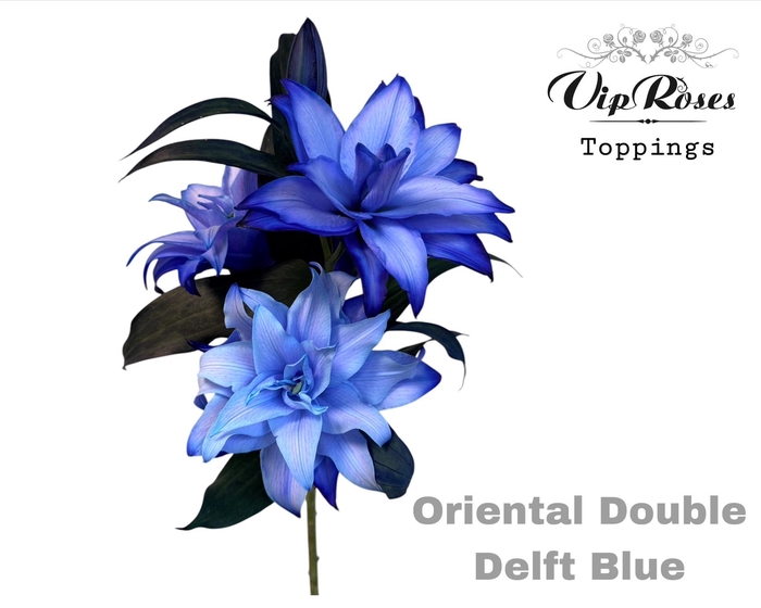 <h4>LI OR DU DOUBLE DELFT BLUE</h4>