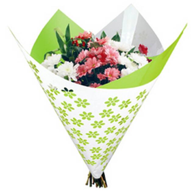 <h4>Sheet 80x90cm OPP50 Clear Flowers light green</h4>