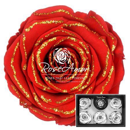 <h4>Pr 1 Glitter Gold Red02 Xl</h4>