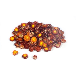 Helichrysum Heads Kg Natural Red