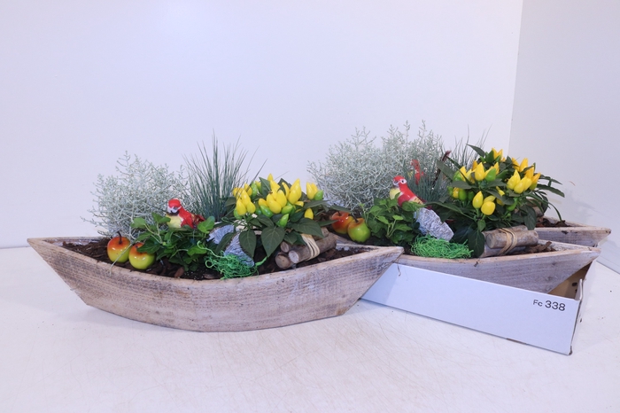 <h4>ARR TUINPLANTEN</h4>