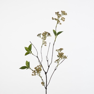 AF Anthriscus wire L72cm ye