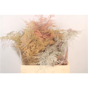 Asp Middel Getopt Mix